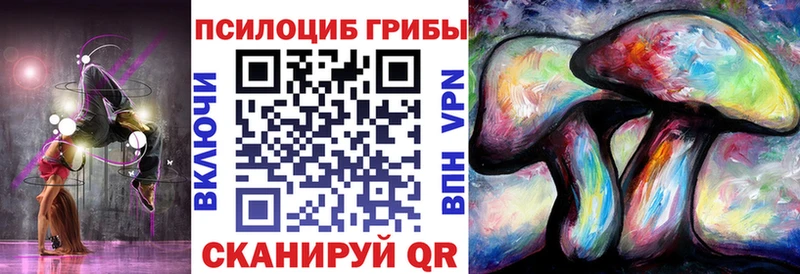 omg как войти  Райчихинск  Псилоцибиновые грибы ЛСД 